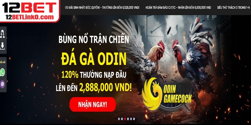 12BET Có Uy Tín Không - Những Thông Tin Xác Thực Chuẩn 9 Trả lời qua phản hồi tích cực dịch vụ game từ hội viên thực tế