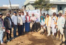 Distribution of Deworming Medicine for Livestock