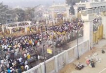 All roads lead to the forest deities – Medaram abuzz with activity